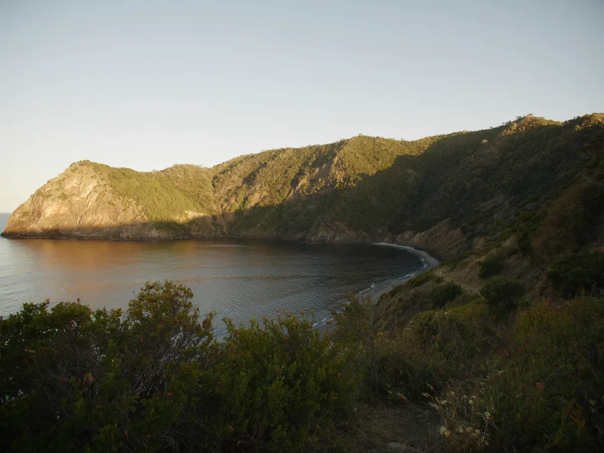 AI-generated image: the horseshoe bay of la herradura seen from the cliff road at golden hour, wooded headlands either side, calm water, no people