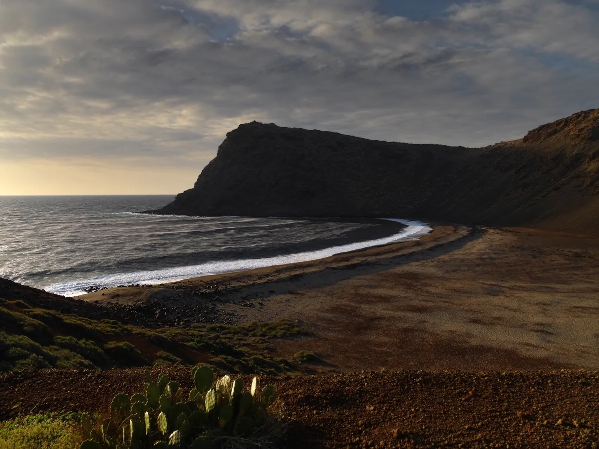 AI-gegenereerde afbeelding: vulkanische landtongen en een donkere, gebogen baai in het natuurpark Cabo de Gata bij het eerste licht, struikgewas en vijgcactussen op de voorgrond, geen gebouwen of mensen