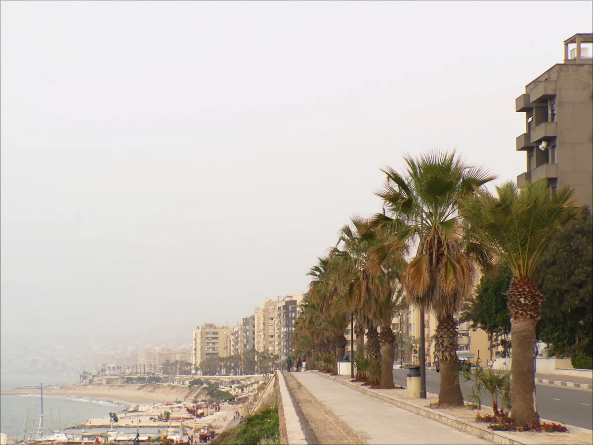 AI-gegenereerde afbeelding: een lange boulevard met palmen in Roquetas de Mar in vlak ochtendlicht, appartementengebouwen die in de nevel verdwijnen, geen mensen