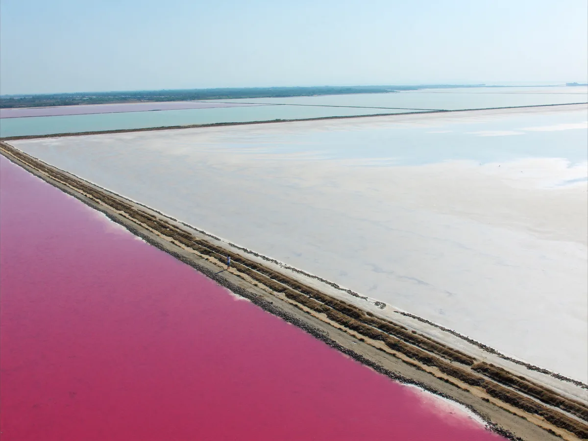 AI-gegenereerde afbeelding: roze zoutpannen, gescheiden door smalle dammen, met slikvlakten voor steltlopers en in de verte een lage kustlijn, stil water en een bleke lucht, geen mensen, geen logo’s