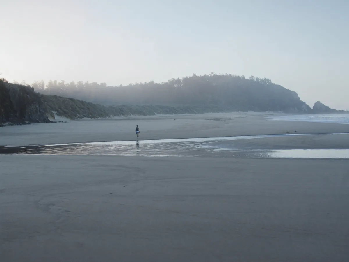 KI-generiertes Bild: ein breiter, flacher Sandstrand, der sich bis zu einer dunstigen Landzunge im Morgengrauen erstreckt, niedrige Dünen und Pinienwald dahinter, ruhiges Meer, völlig menschenleer