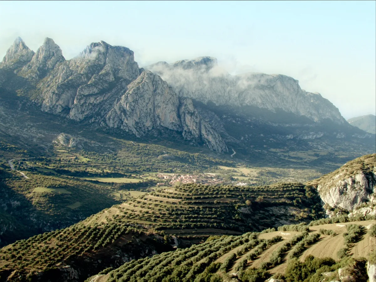 KI-generiertes Bild: Oliventerrassen und graue Kalksteingipfel der Tramuntana über einem Steindorf bei Sóller, Morgennebel im Tal, keine Menschen