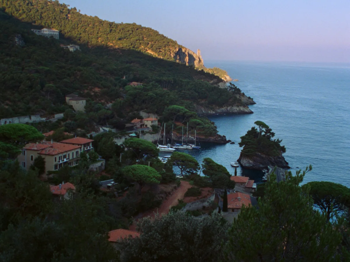 AI-generated image: a pine-covered headland dropping to a sheltered yacht harbour at port d'andratx in low evening light, terracotta villas among the trees, no people